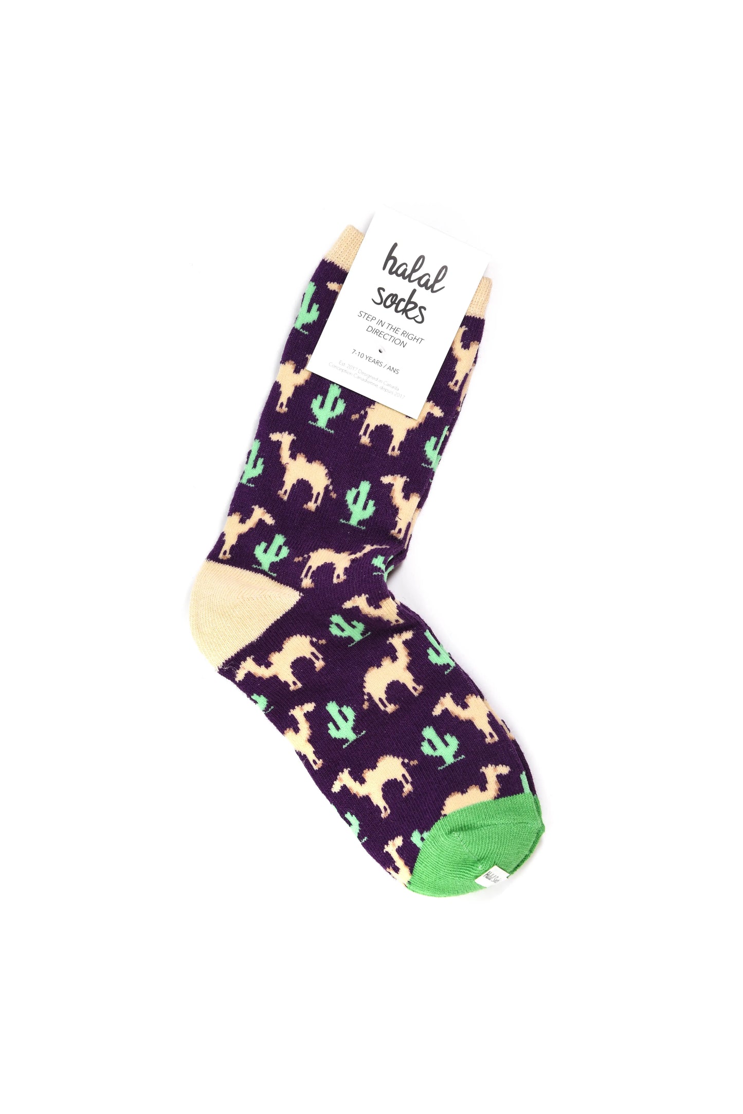 Kids - Camels and Cacti