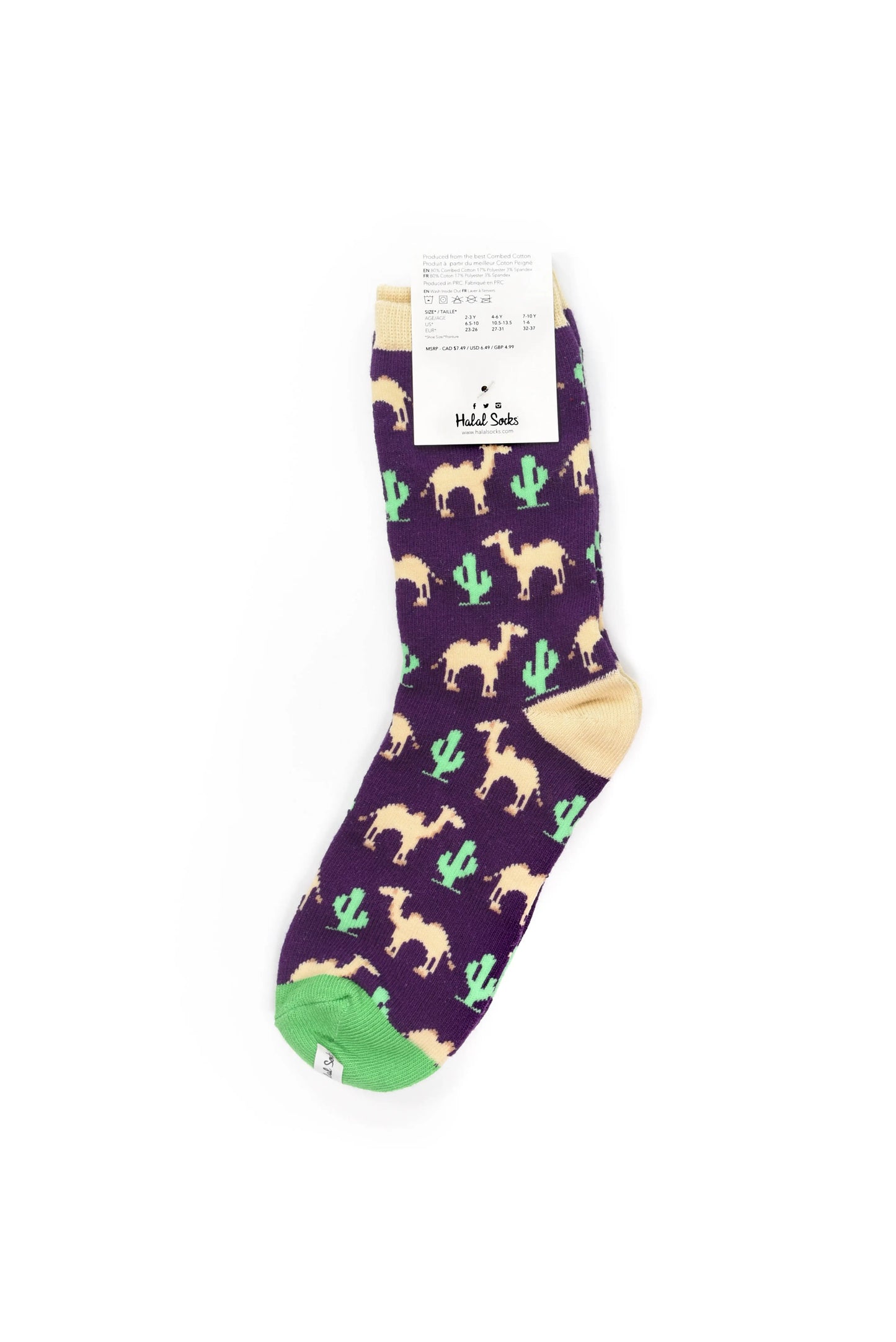 Kids - Camels and Cacti