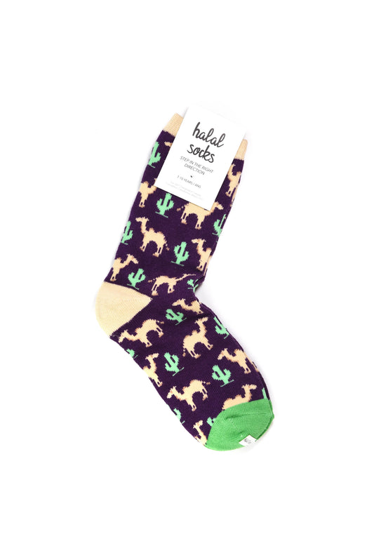 Kids - Camels and Cacti