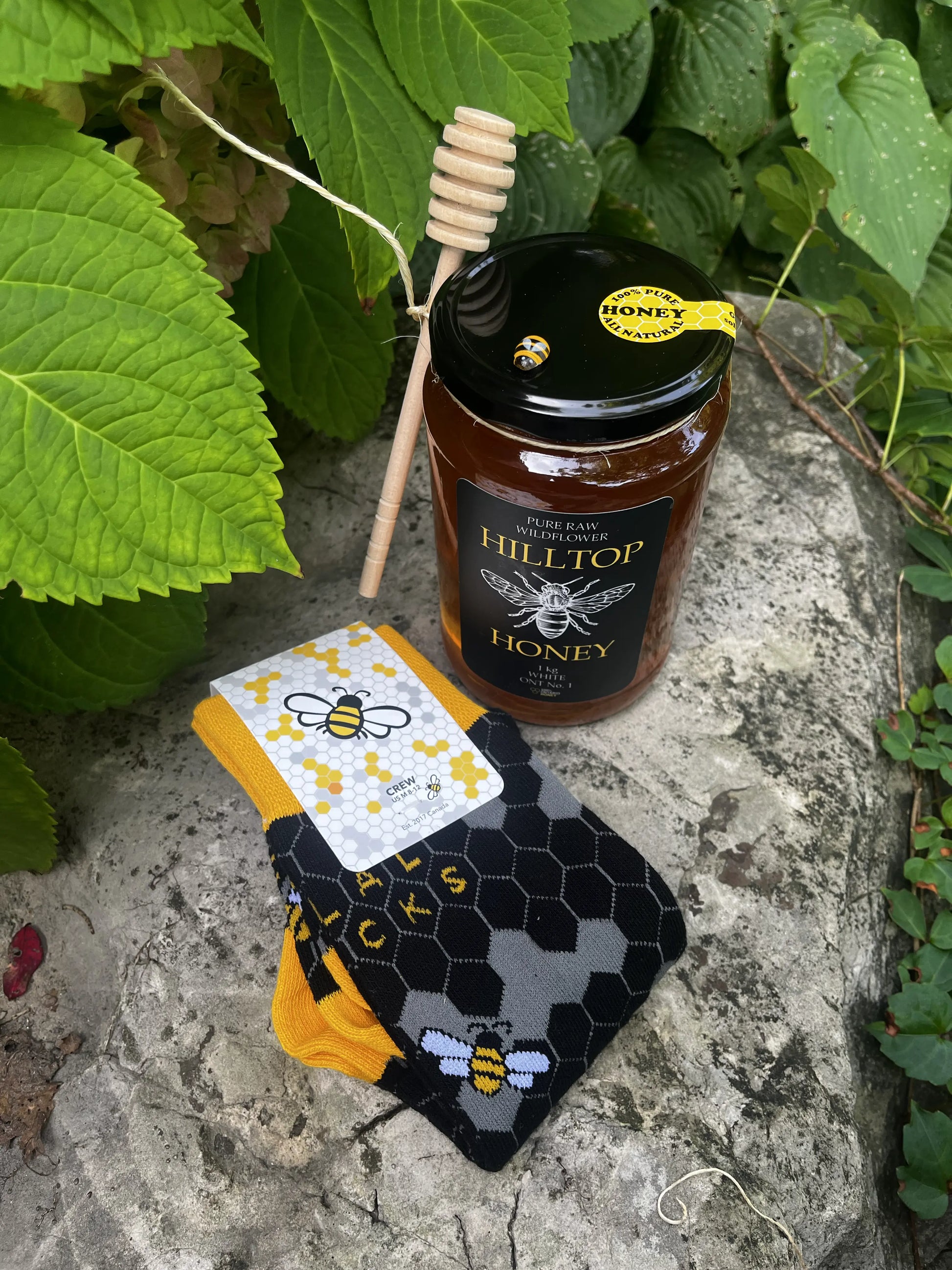 Hilltop Honey jar with a honey dipper and socks on a stone surface with green leaves in the background